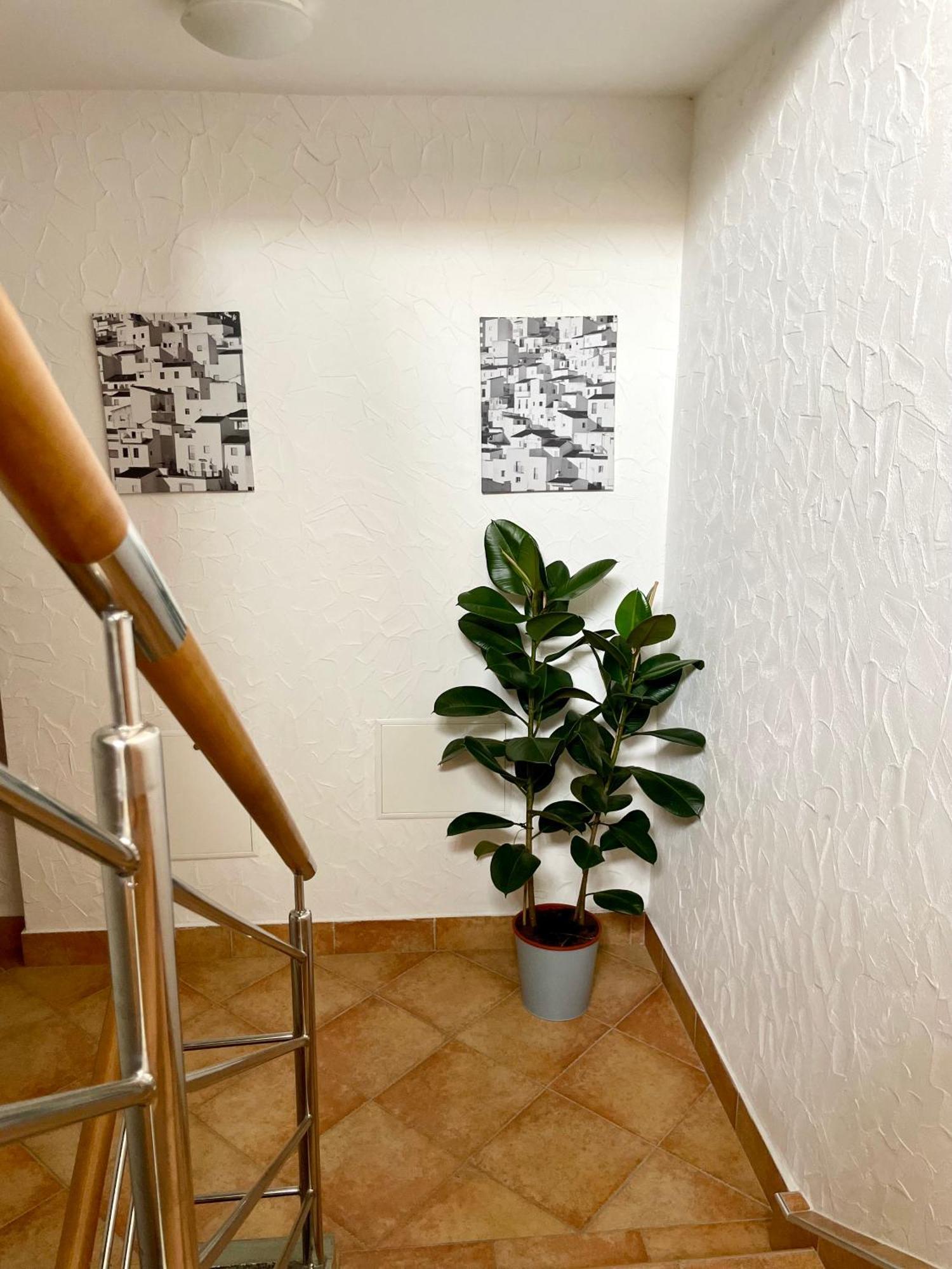 All Seasons Apartments Laško Екстериор снимка